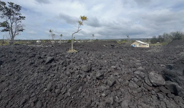 a backyard of a house