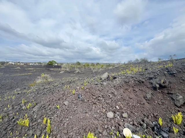 a view of an outdoor space and a yard