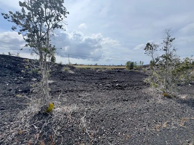 a view of outdoor space yard and mountain view in back