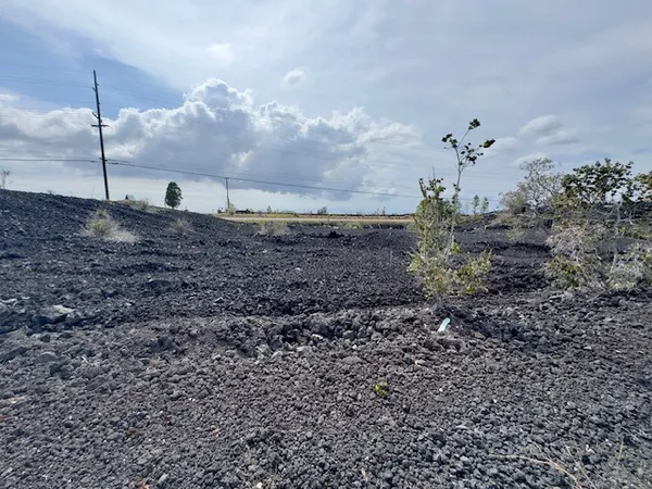 a view of a dry yard