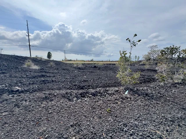 a view of a dry yard