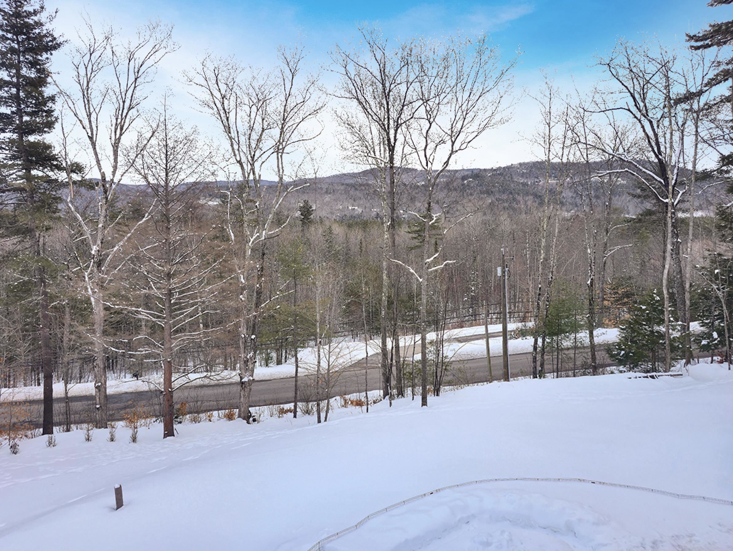 253 Upper Mad River Road Thornton, NH 03285 - Photo 63 of 67