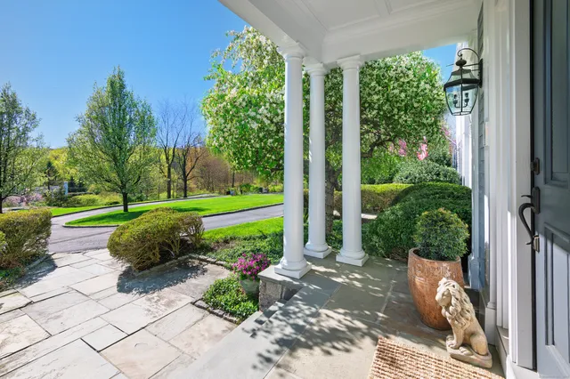 a view of a garden with plants and large tree