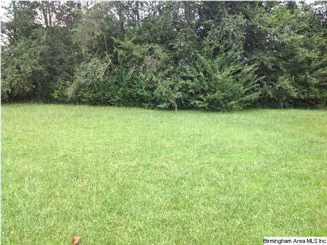 20679 Main Street Ranburne, AL 36273 - Photo 5 of 17