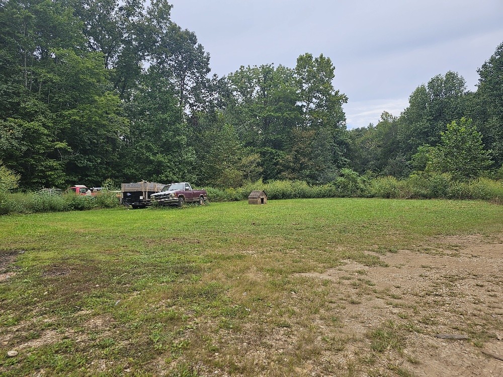 1685 Ennis Branch Road McEwen, TN 37101 - Photo 3 of 9 a view of a street with a car parked in the background