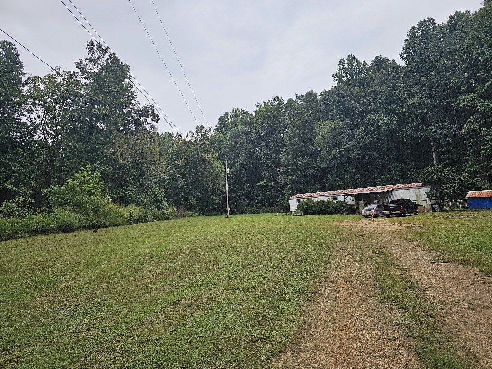 1685 Ennis Branch Road McEwen, TN 37101 - Photo 4 of 9 a car parked in the middle of a field