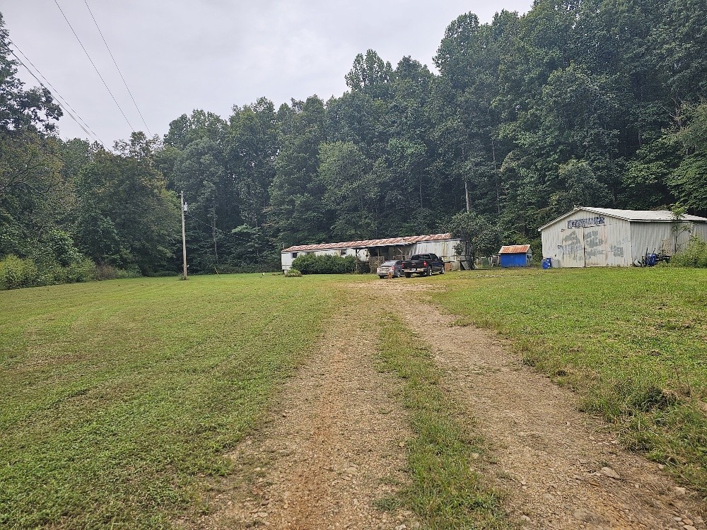 1685 Ennis Branch Road McEwen, TN 37101 - Photo 5 of 9 a view of a field with an trees