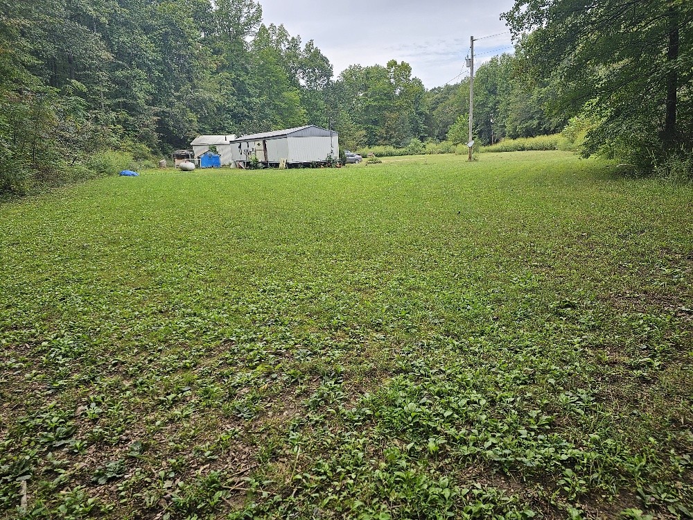 1685 Ennis Branch Road McEwen, TN 37101 - Photo 6 of 9 a view of a trees with a yard