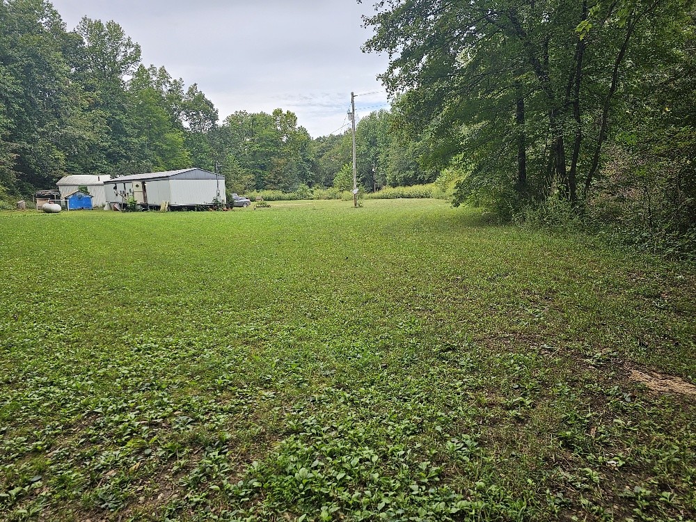 1685 Ennis Branch Road McEwen, TN 37101 - Photo 7 of 9 a view of a house with a yard