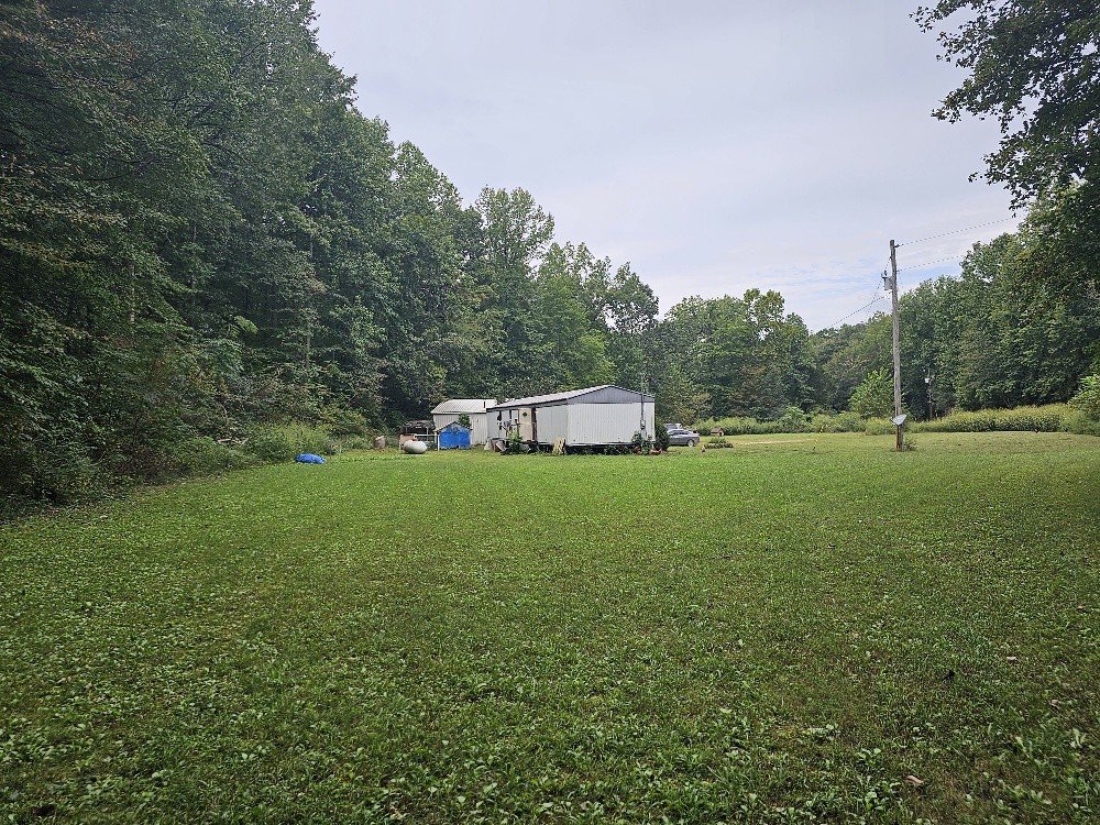 1685 Ennis Branch Road McEwen, TN 37101 - Photo 8 of 9 a green field with lots of trees in it