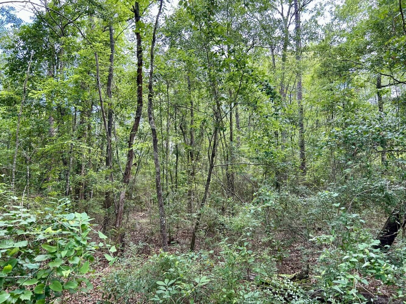 0 State Highway Stockton, AL 36579 - Photo 7 of 14 View