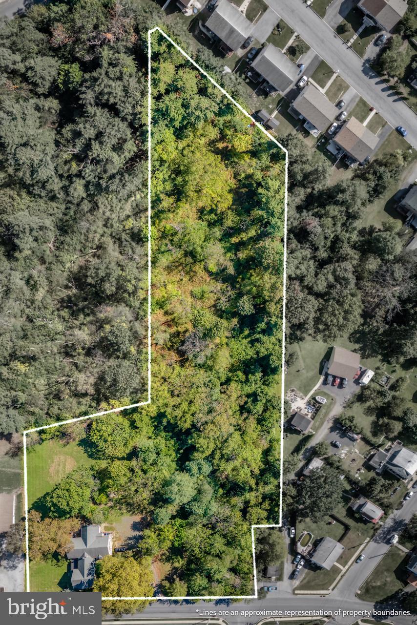 1220 Hay Road Temple, PA 19560 - Photo 9 of 24 a view of a garden