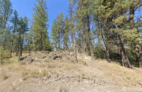 $309,999 | 24535 South Pine Springs Road, Cheney, WA 99004