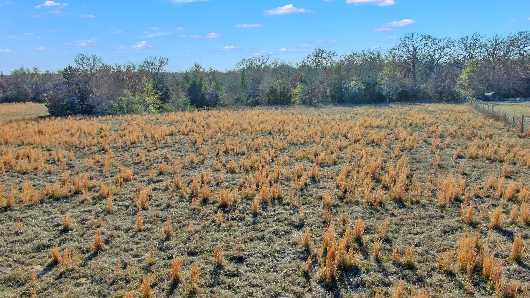 2016 Private Road 2016 Road Caldwell, TX 77836 - Photo 11 of 11 a view of a yard with a tree in the background