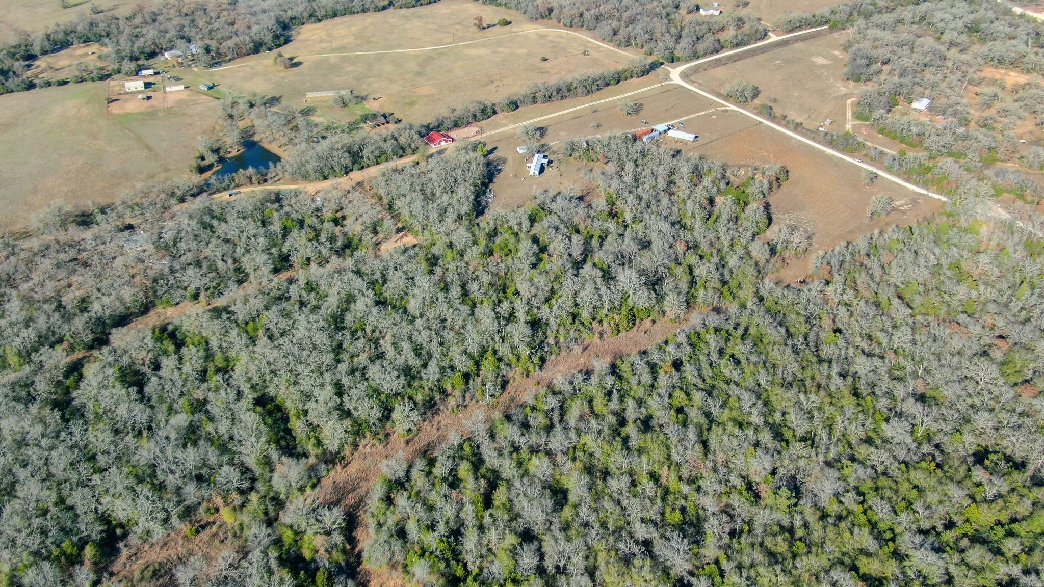 2016 Private Road 2016 Road Caldwell, TX 77836 - Photo 5 of 11