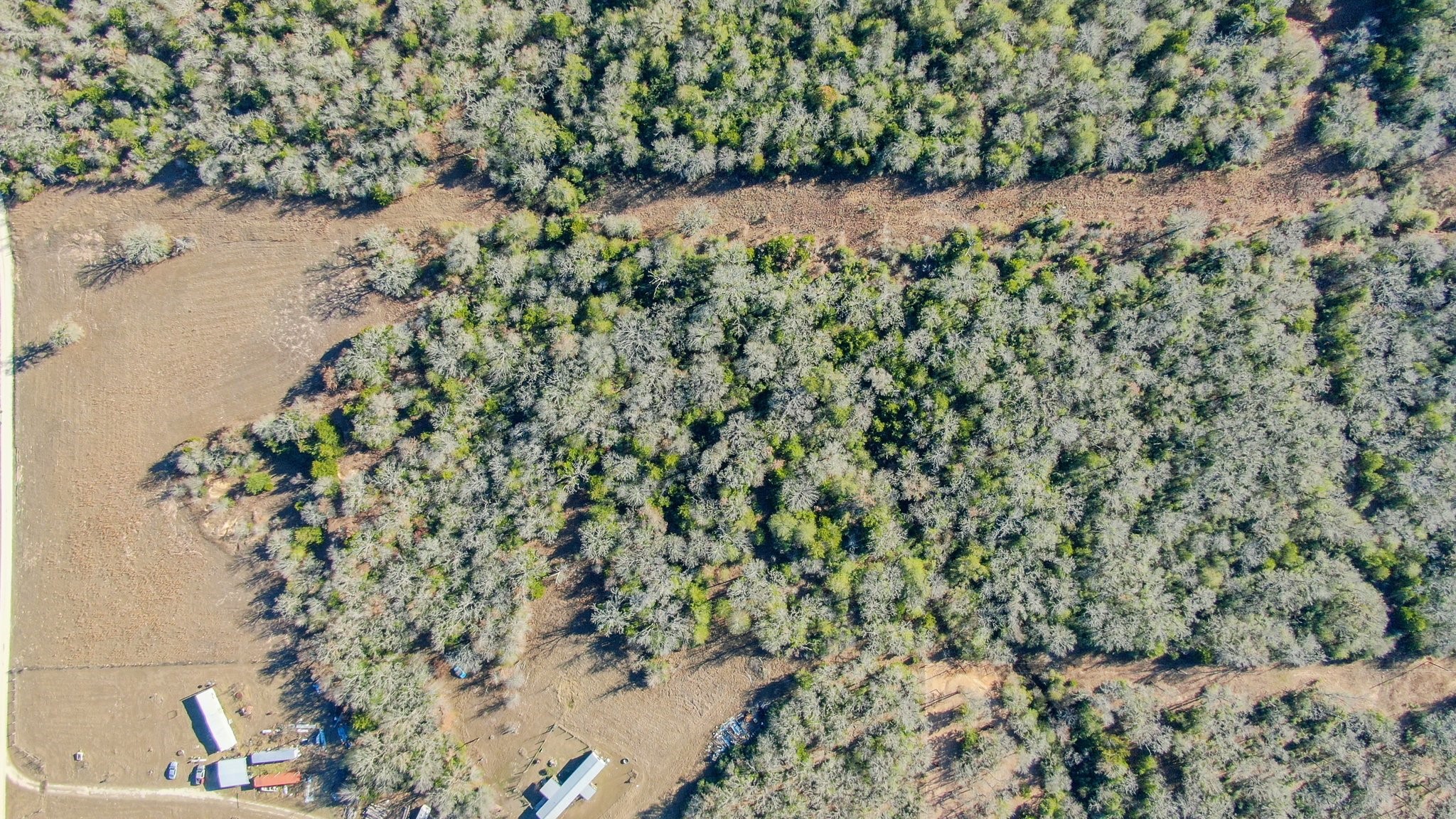 2016 Private Road 2016 Road Caldwell, TX 77836 - Photo 9 of 11 a view of a yard with a plant