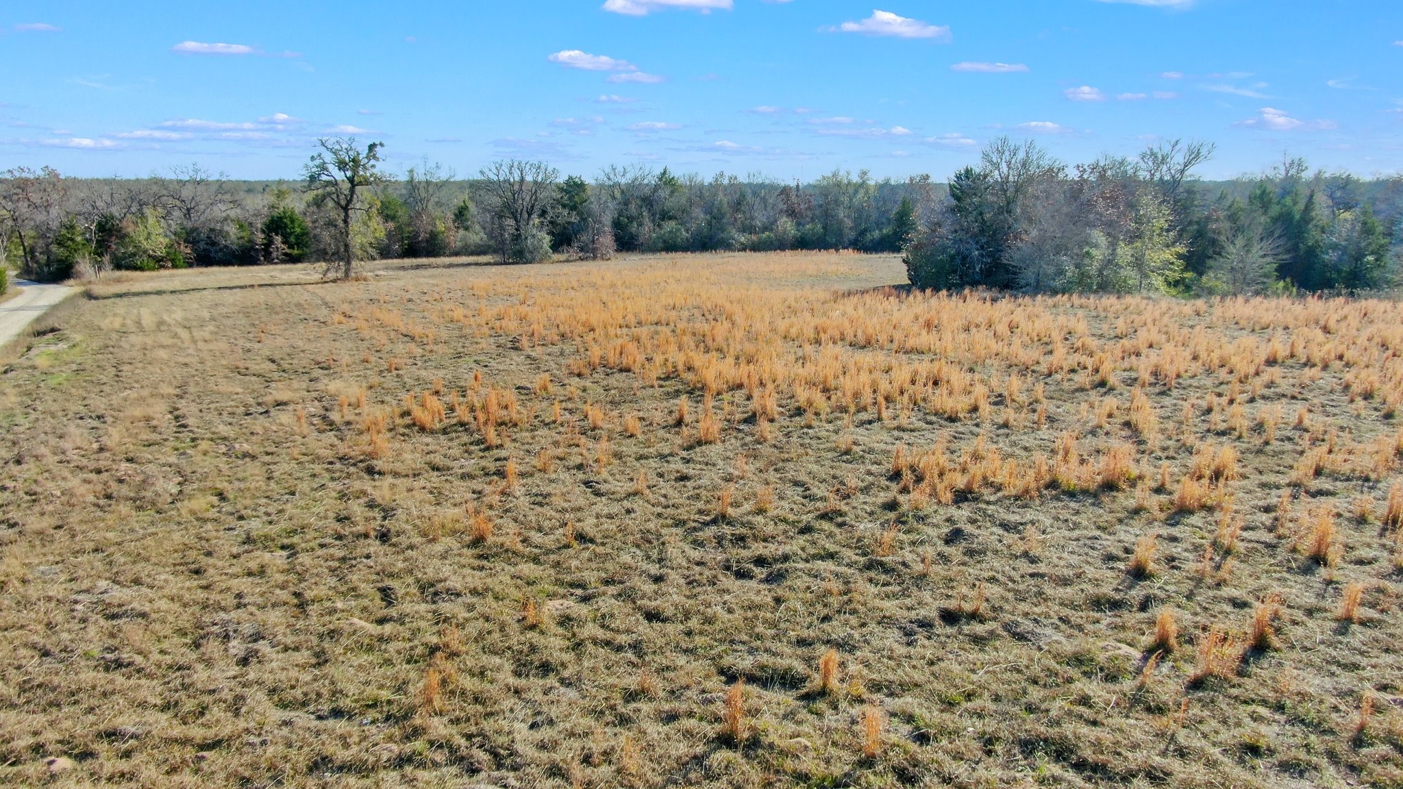 2016 Private Road 2016 Road Caldwell, TX 77836 - Photo 10 of 11 a view of an outdoor space and a yard