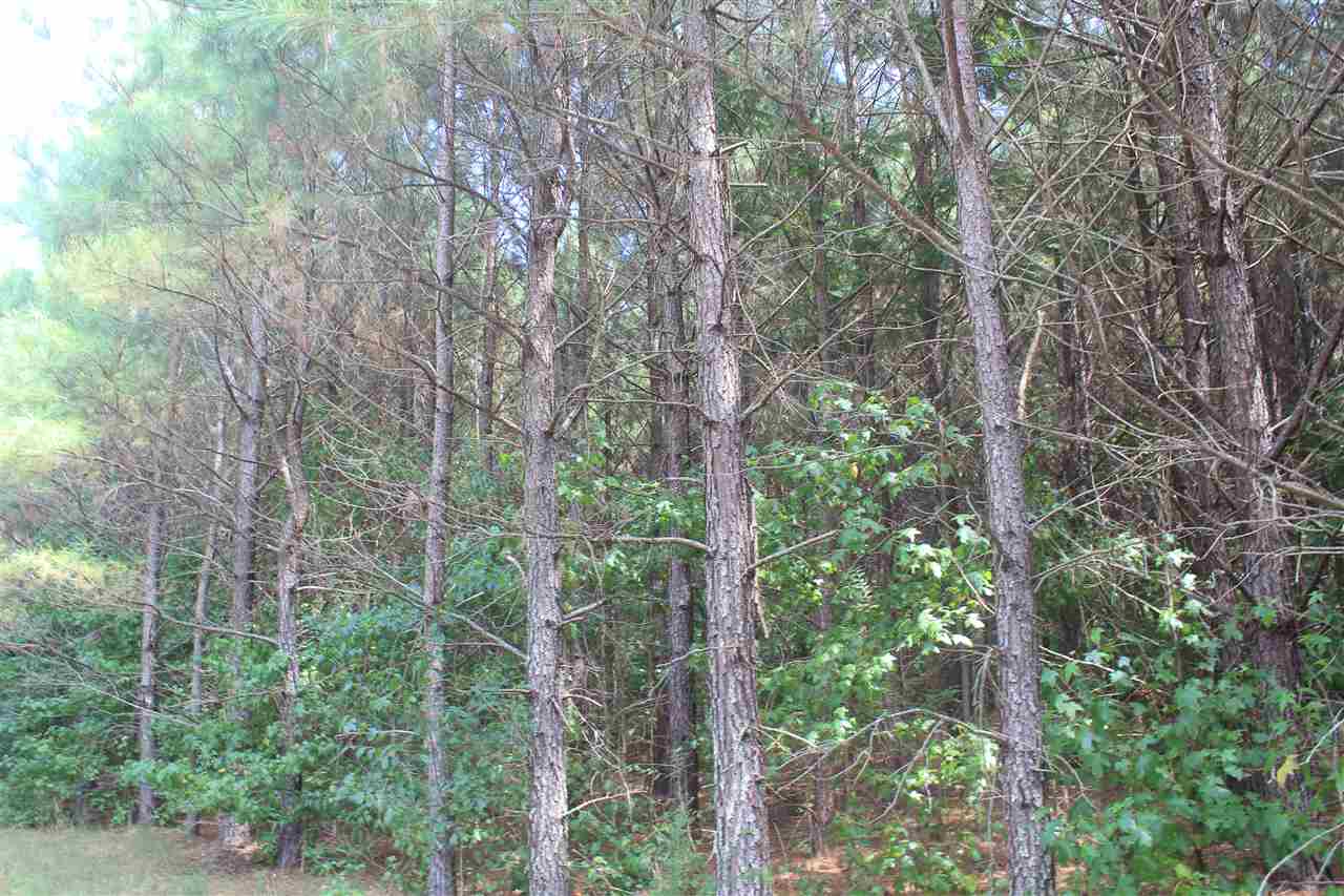 3 Valentine Road Holly Springs, MS 38635 - Photo 11 of 25 Gallery Image 11