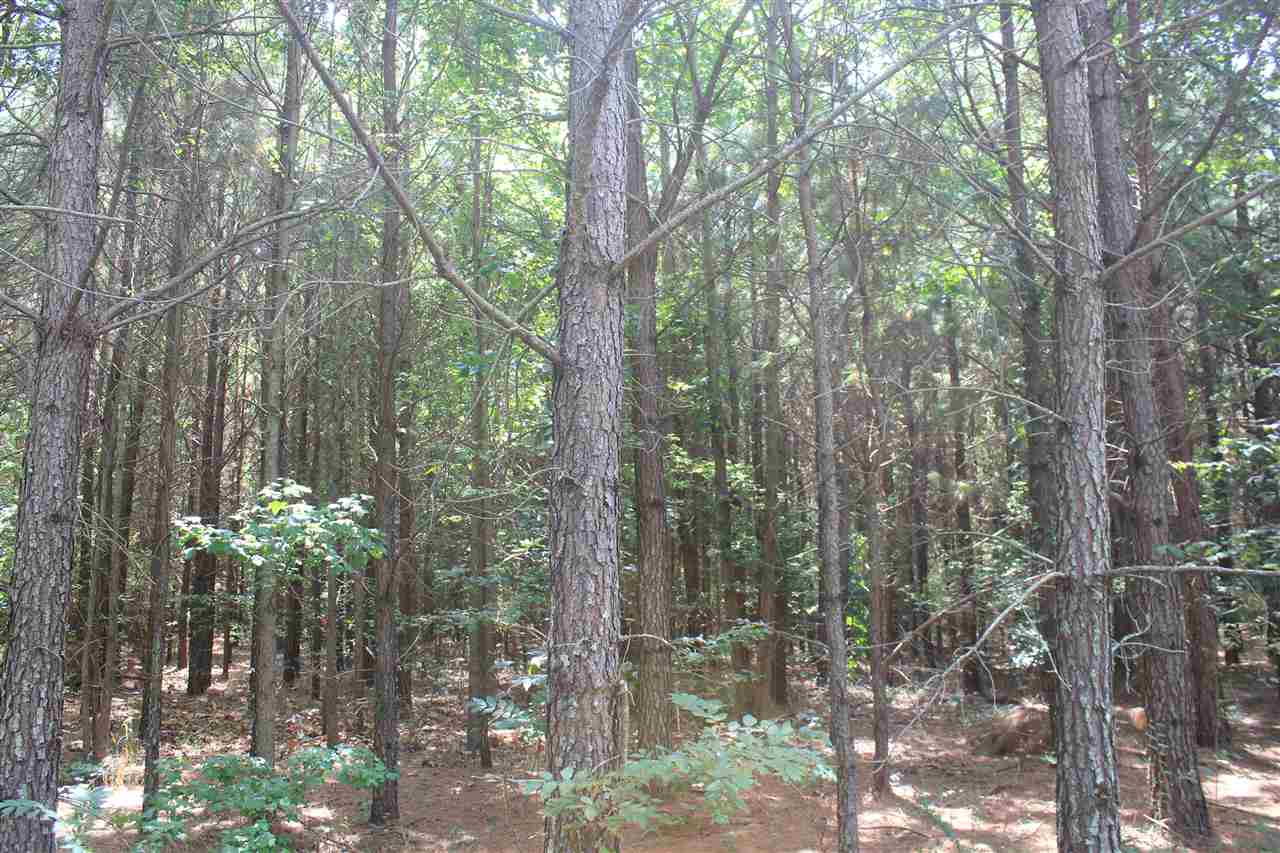 3 Valentine Road Holly Springs, MS 38635 - Photo 12 of 25 Gallery Image 12