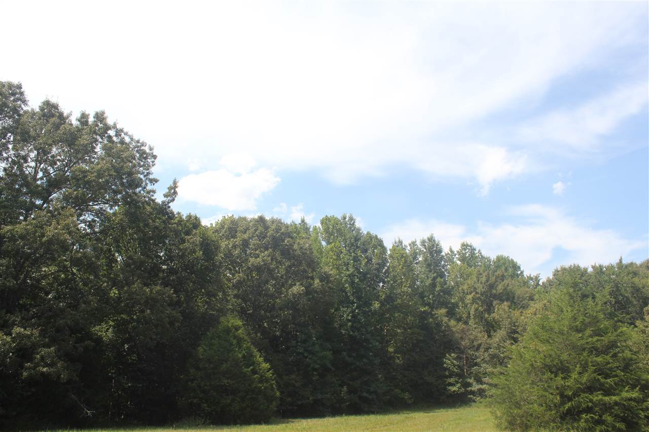 3 Valentine Road Holly Springs, MS 38635 - Photo 23 of 25 Gallery Image 23
