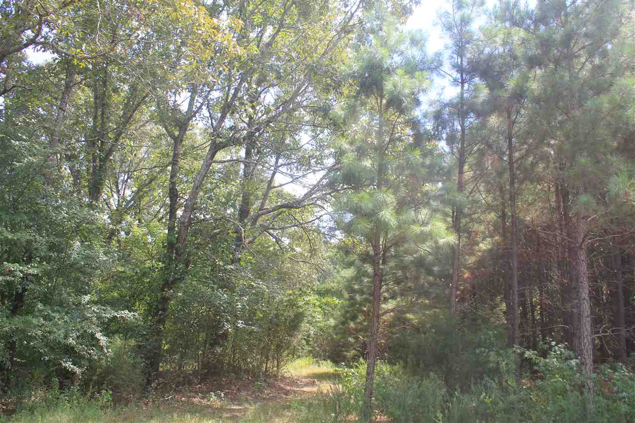3 Valentine Road Holly Springs, MS 38635 - Photo 9 of 25 Gallery Image 9