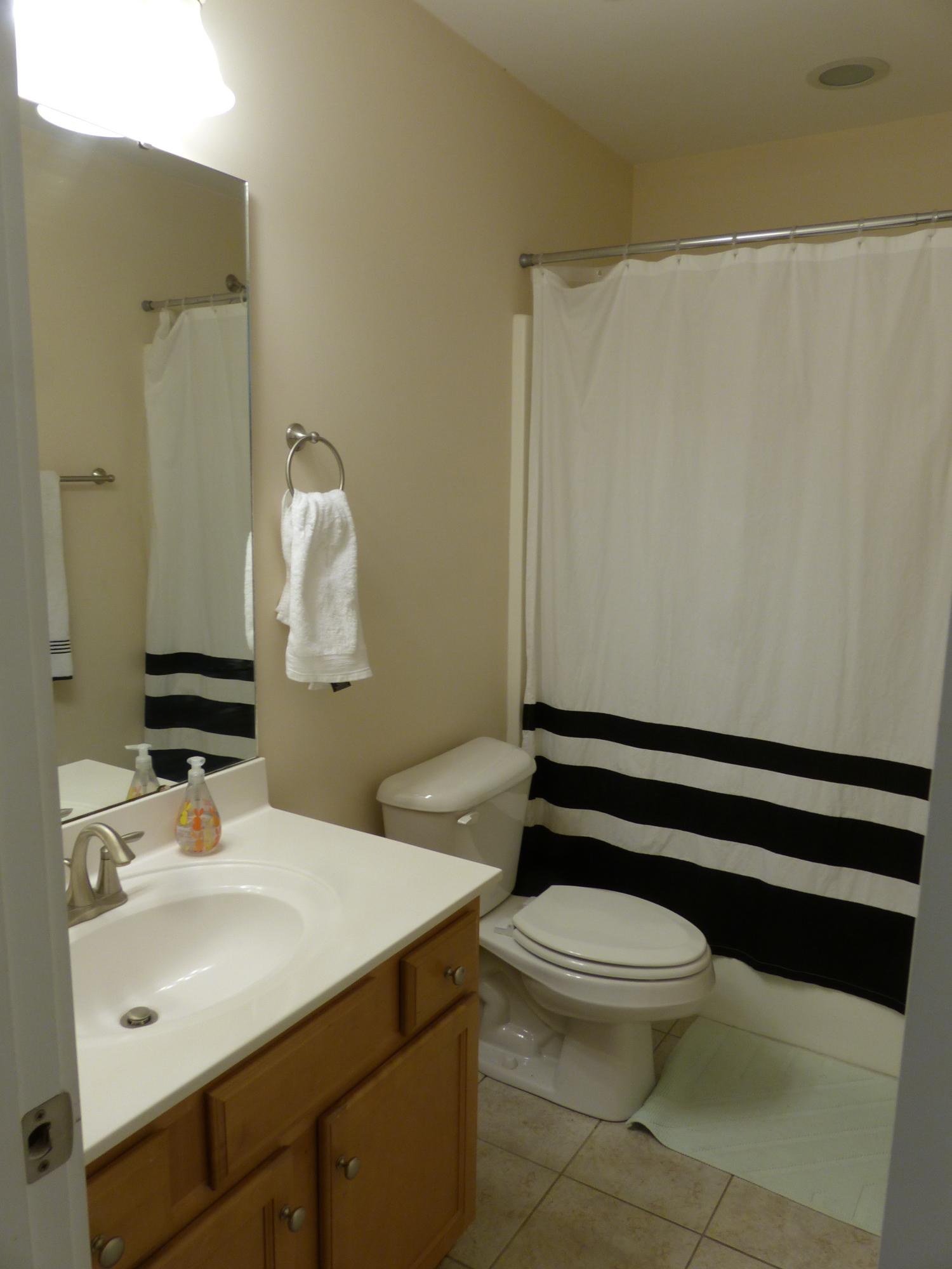 1677 Bee Balm Road Johns Island, SC 29455 - Photo 14 of 29 Full Bath 1