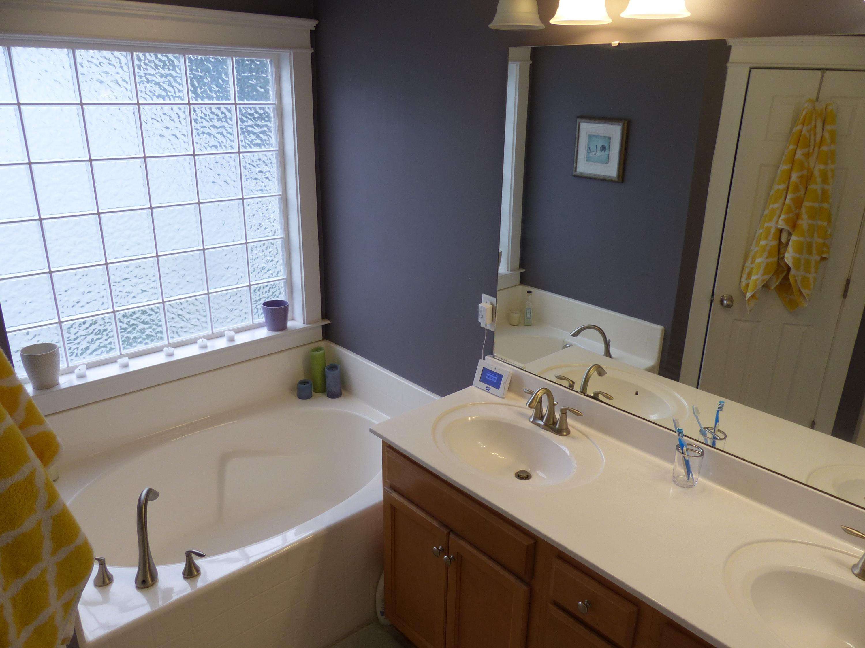 1677 Bee Balm Road Johns Island, SC 29455 - Photo 18 of 29 Master Bath 1