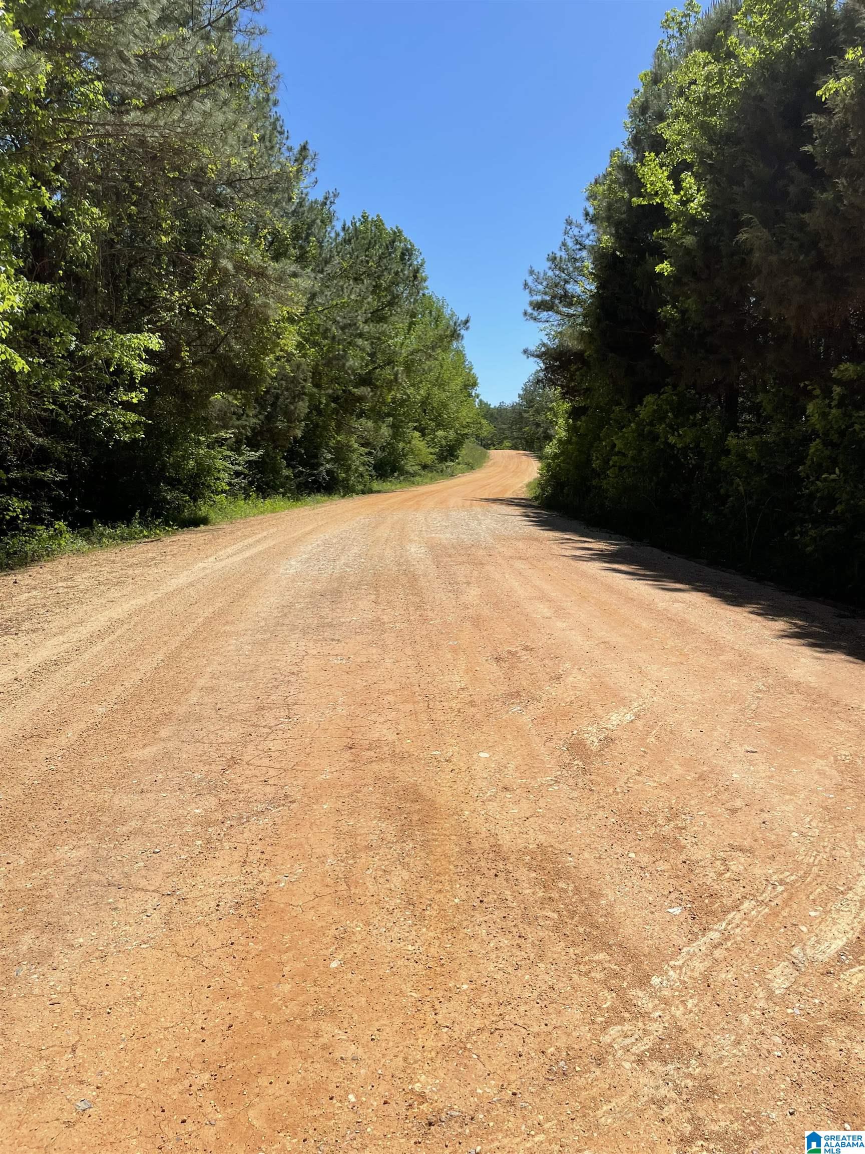 2 County Road 253, Unit 2 Clanton, AL 35046 - Photo 3 of 40