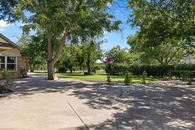 a view of a park with tree s