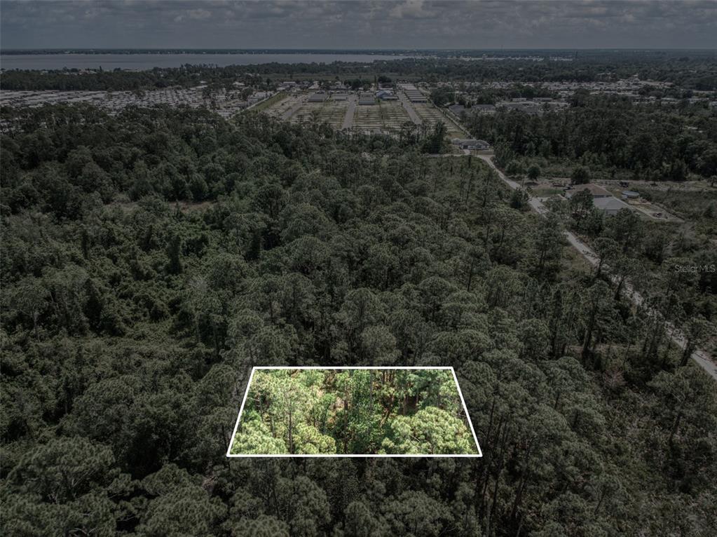 242 Condor Avenue Sebring, FL 33870 - Photo 2 of 5 a view of a yard