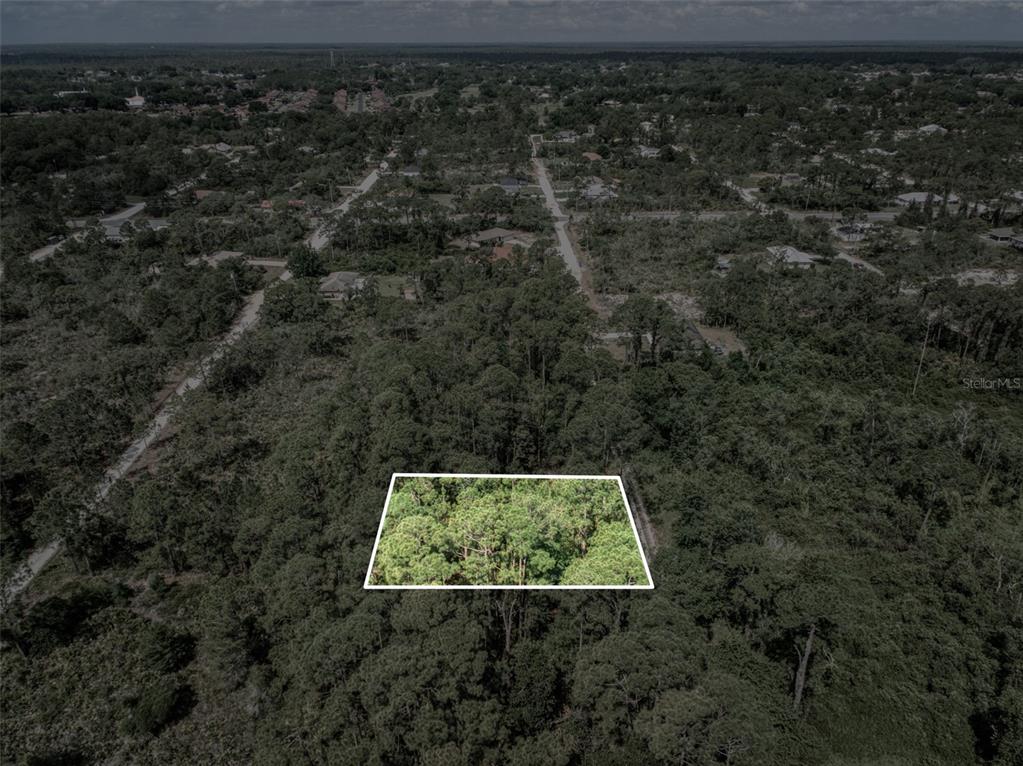 242 Condor Avenue Sebring, FL 33870 - Photo 4 of 5 a view of a yard