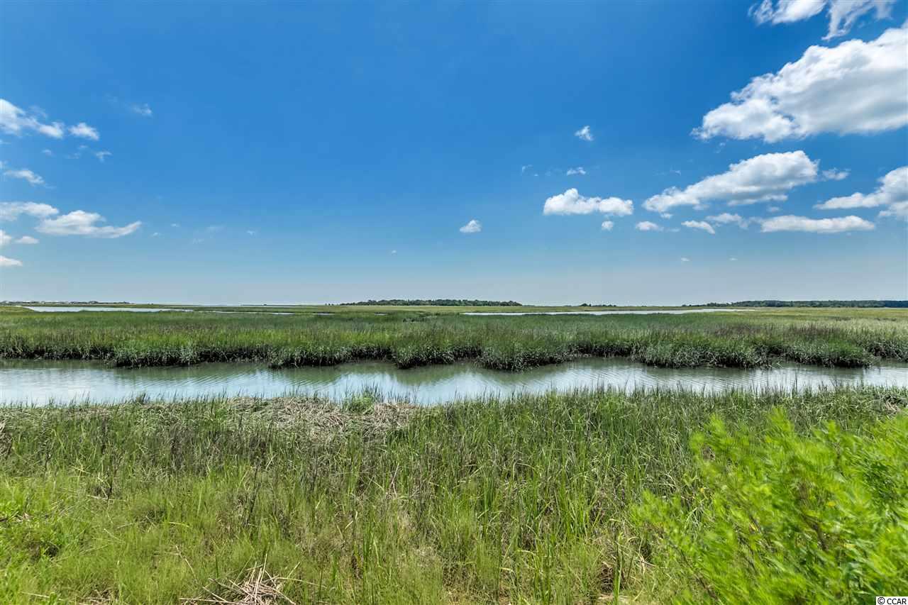 5227 Horry Drive Murrells Inlet, SC 29576 - Photo 22 of 25 Gallery Image 22
