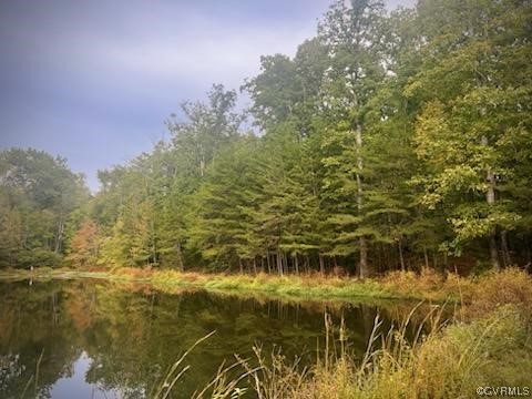 2067 Alldever Road Maidens, VA 23102 - Photo 2 of 2 Gallery Image 2