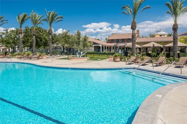 a view of a park with palm trees