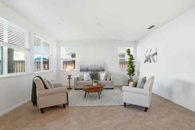 a living room with furniture and a potted plant