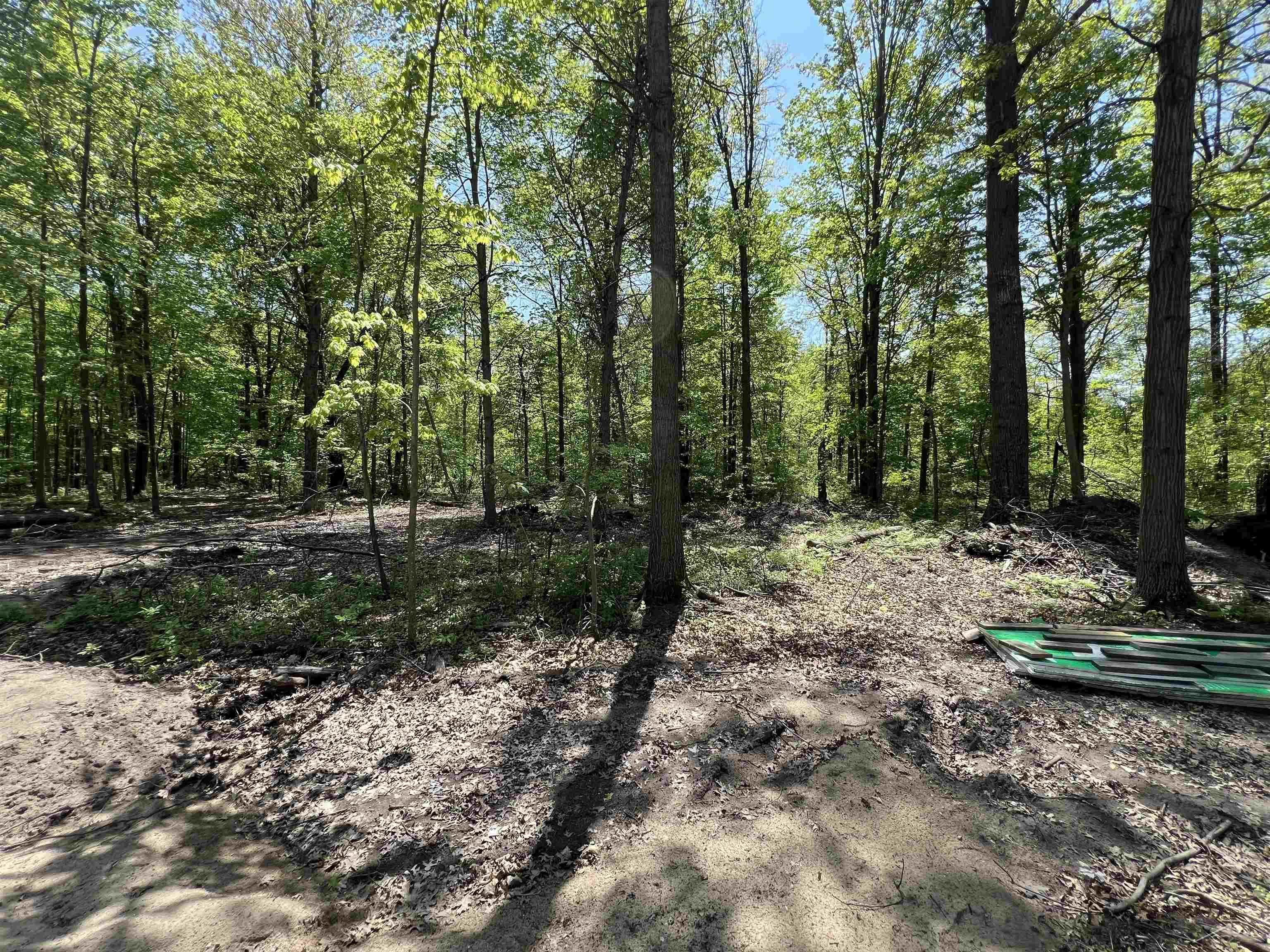 65 South Magruder Road Shepherd, MI 48883 - Photo 12 of 22