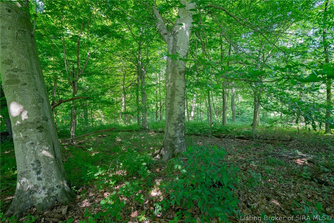 11 Banet Road Floyds Knobs, IN 47119 - Photo 11 of 12 Gallery Image 11