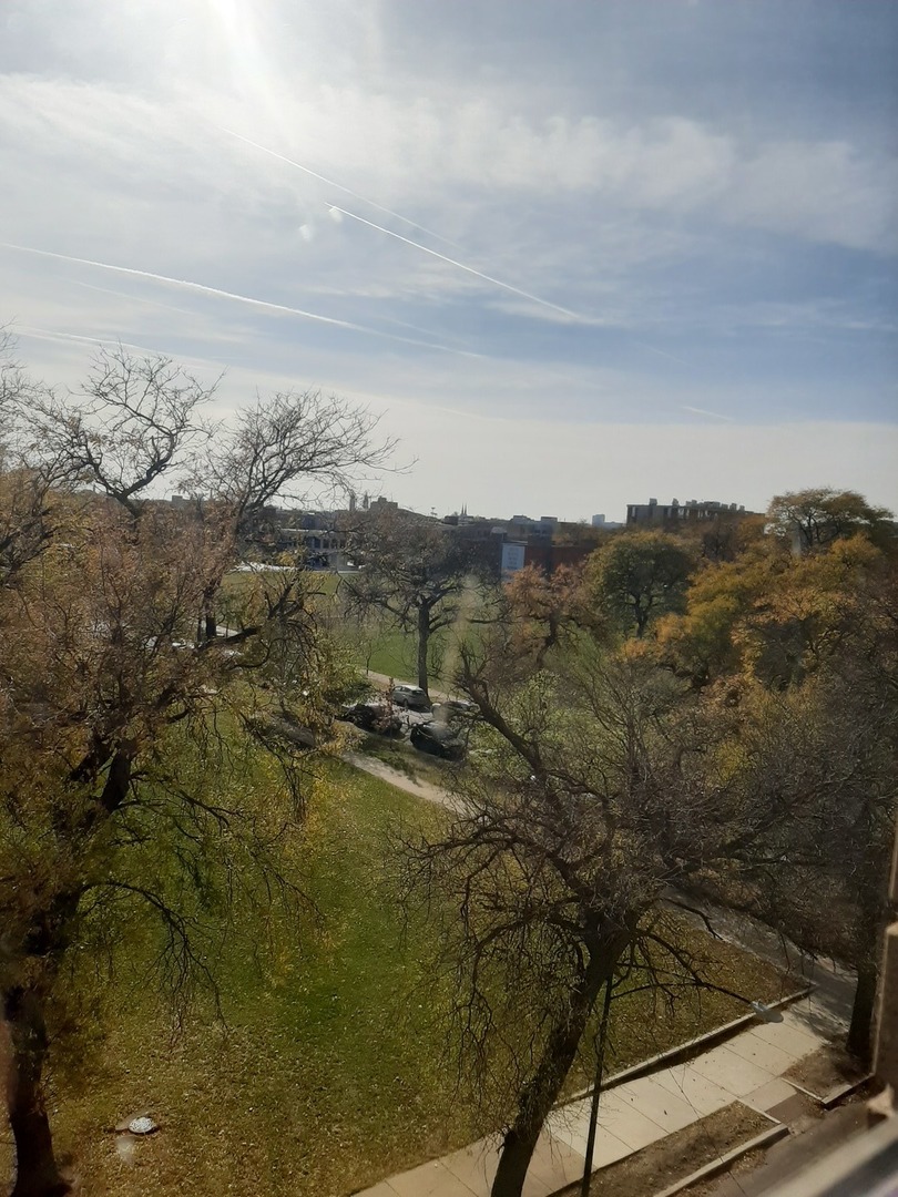 811 South Lytle Street, Unit 403 Chicago, IL 60607 - Photo 15 of 17