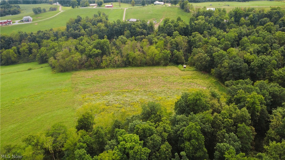 212 Township Road Fresno, OH 43824 - Photo 7 of 50 Expansive open land featuring diverse foliage and a wooded perimeter