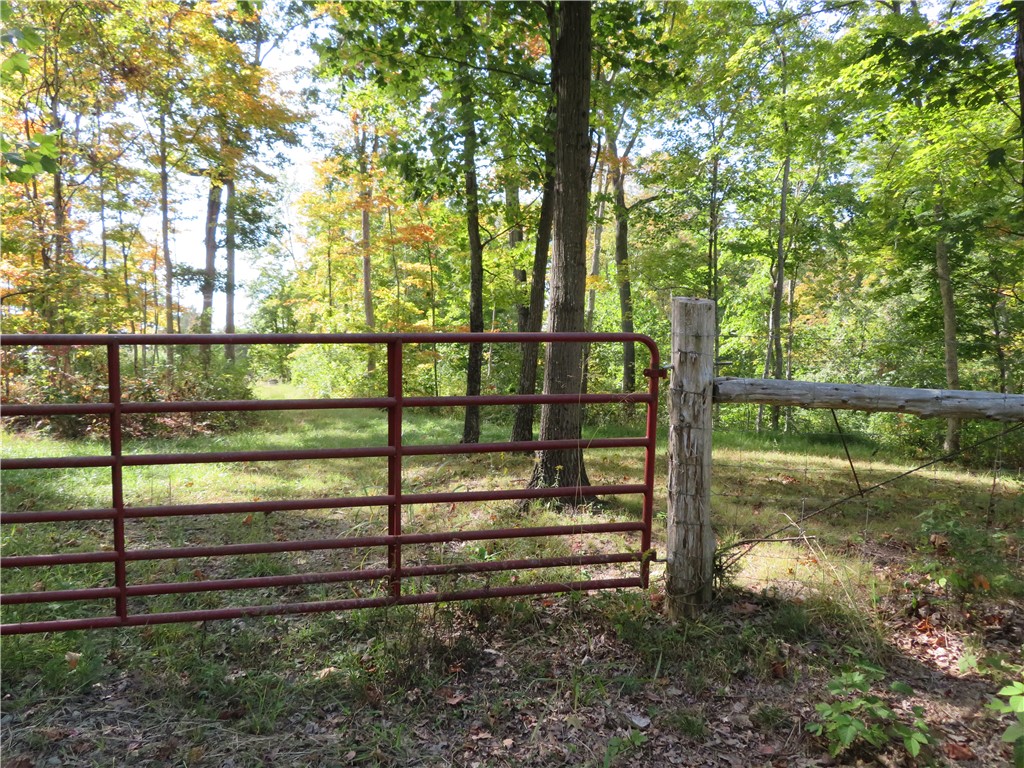 748 Inlow Avenue Peebles, OH 45660 - Photo 54 of 61 This expansive lot offers a tranquil, verdant setting, ideal for a private estate.