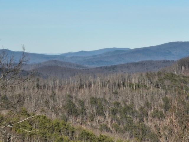 194 Andes Ridge Talking Rock, GA 30175 - Photo 1 of 1 Gallery Image 1