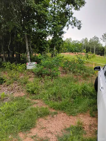 a view of a garden with trees