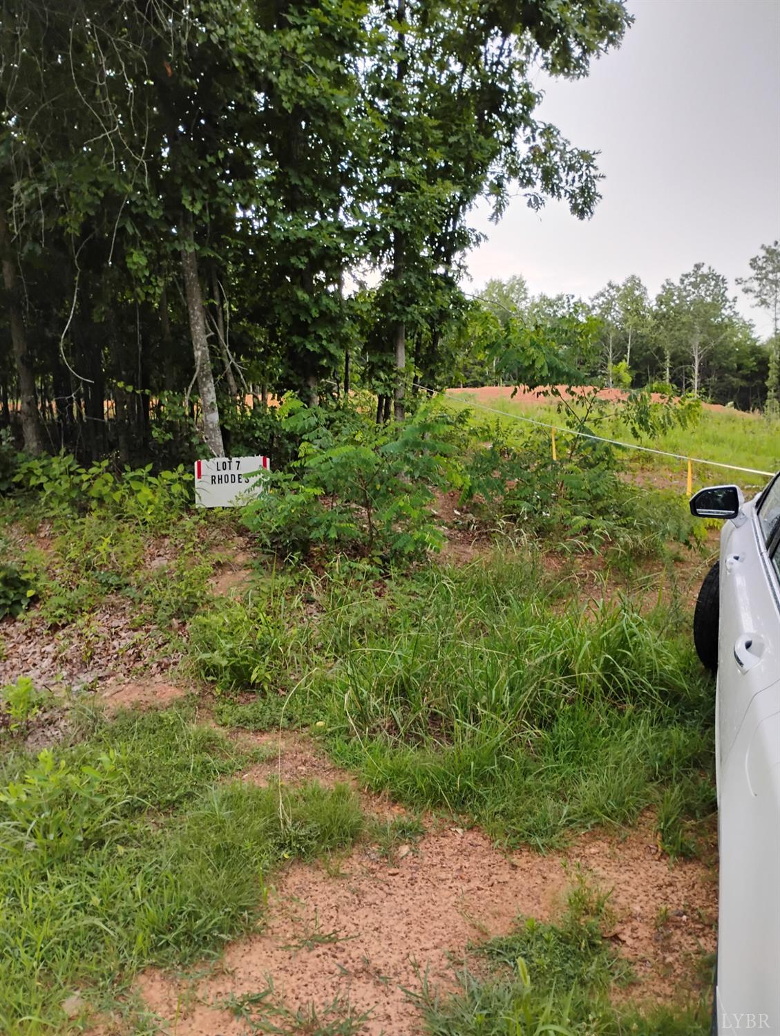 a view of a garden with trees