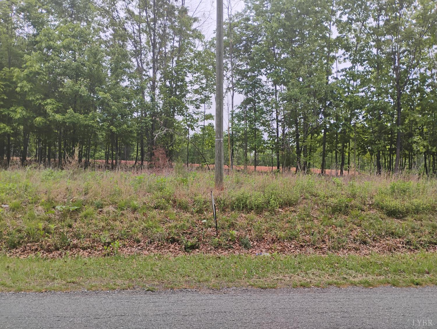 0 Easome Road Amherst, VA 24521 - Photo 11 of 13 a view of a green field