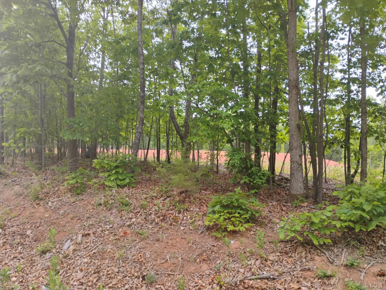0 Easome Road Amherst, VA 24521 - Photo 2 of 13 a view of backyard with green space