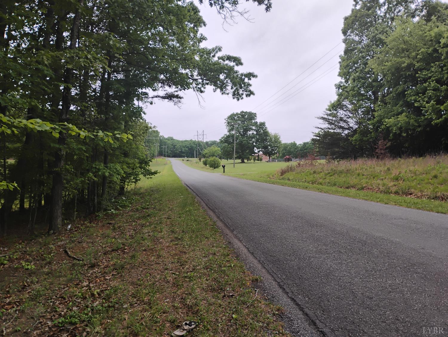 0 Easome Road Amherst, VA 24521 - Photo 5 of 13 a view of a yard and mountain view