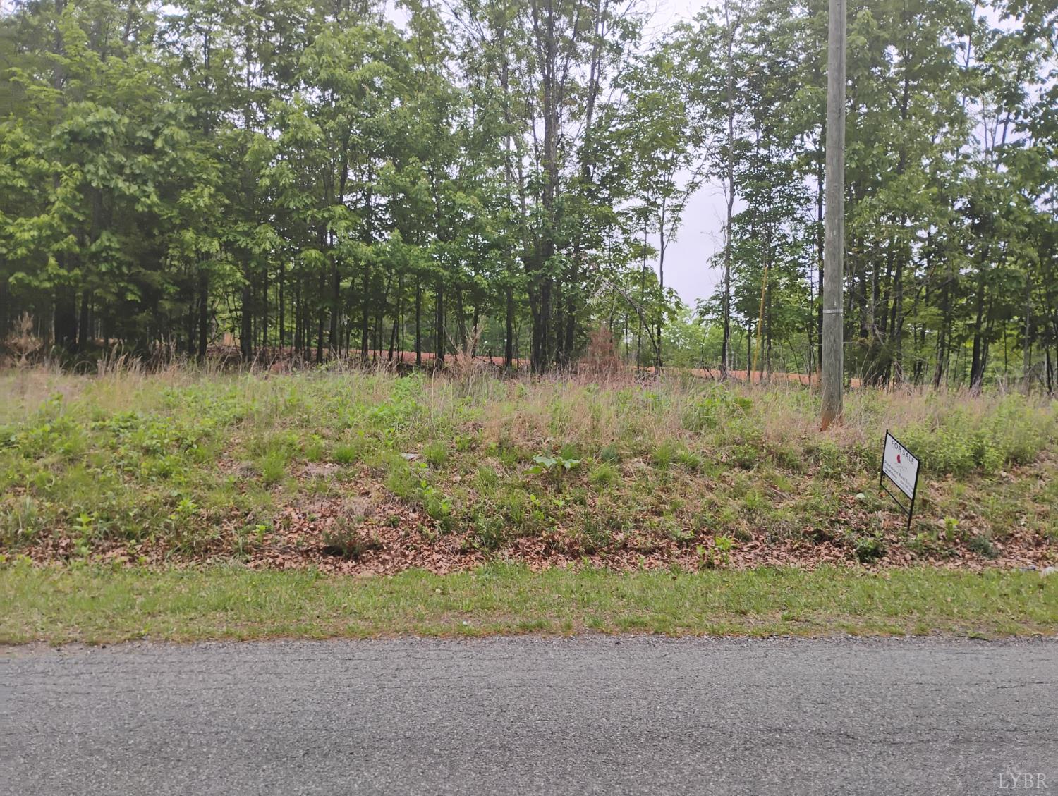 0 Easome Road Amherst, VA 24521 - Photo 7 of 13 a view of outdoor space and yard
