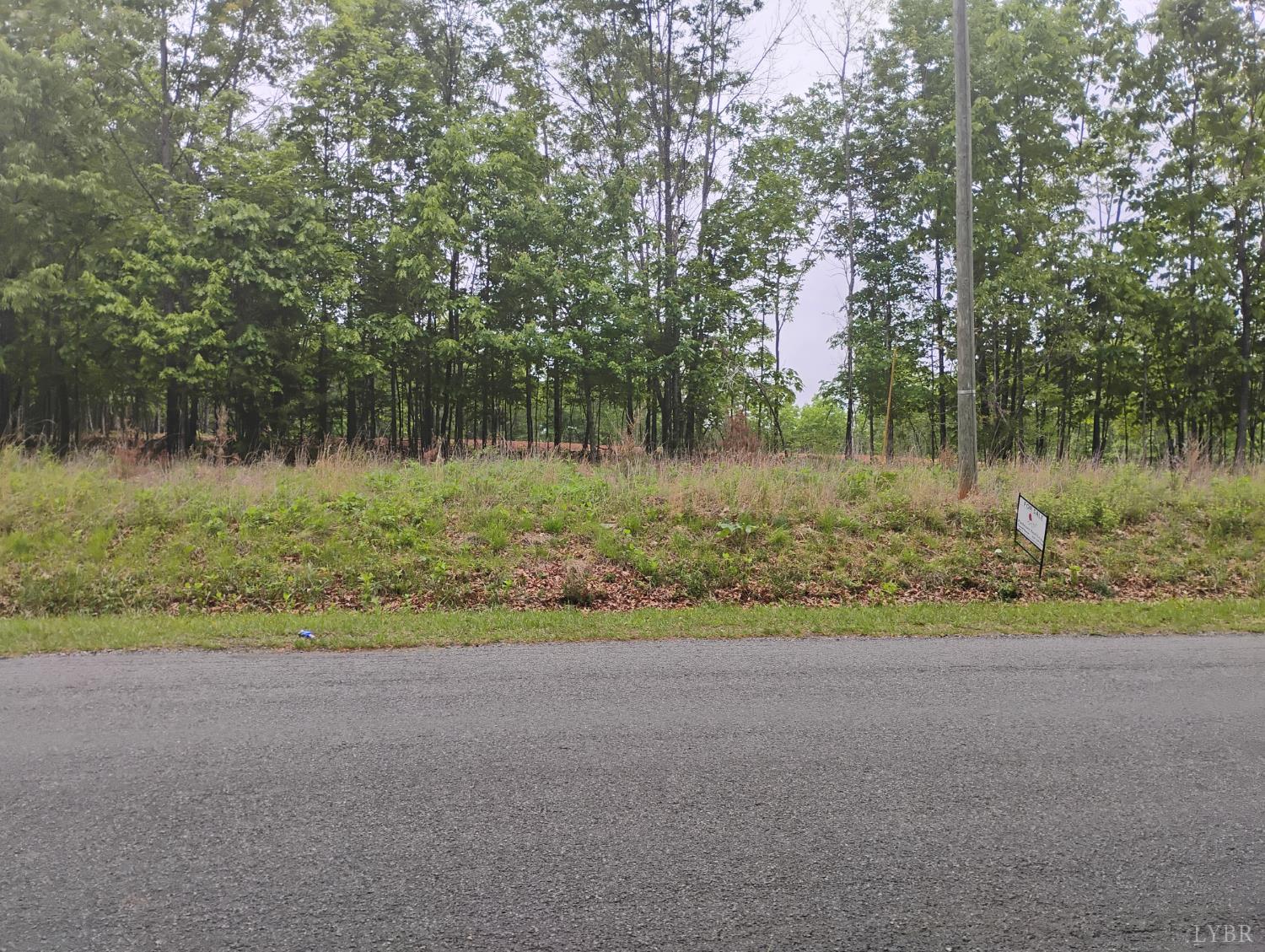0 Easome Road Amherst, VA 24521 - Photo 10 of 13 a view of a yard
