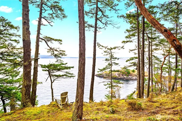 a view of a backyard of the house