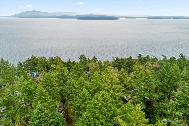 a view of a lake from a yard